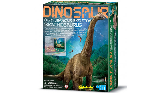 4M KidzLabs craft kit "Brachiosaurus skeleton"