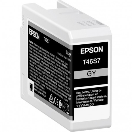 Epson UltraChrome Pro ink cartridge 1 pc(s) Original Grey
