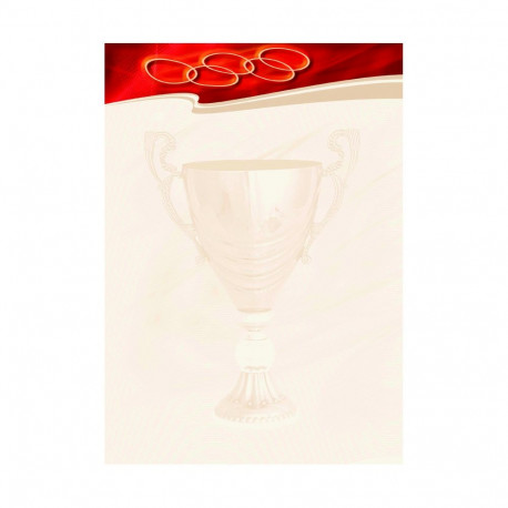 Diplomipõhi Sport N 170g/25lk