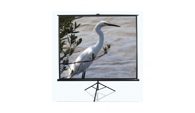 Elite Screens Tripod Series T120UWV1 Diagonal 120