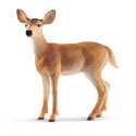 SCHLEICH WILD LIFE White-Tailed Doe
