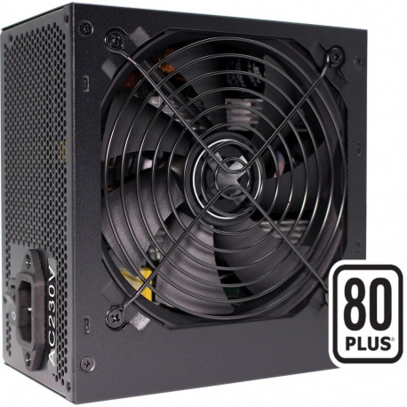 XP750R6.2 750W (schwarz, 2x PCIe, 750 Watt)