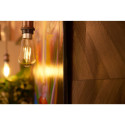 Shelly Vintage ST64, LED lamp