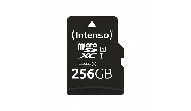 Intenso UHS-I Performance 256 GB microSDXC, memory card (black, UHS-I U1, Class 10)