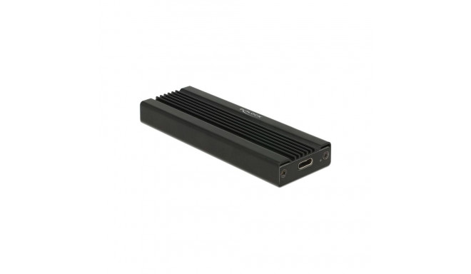 DeLOCK External enclosure for M.2 NVMe PCIe SSD, drive housing (black, (with Super Speed USB 10 Gbps