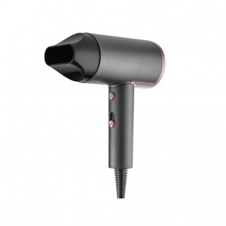 Sile ja särav föön