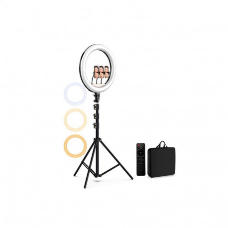 Lamp|OTHER|Power consumption 50 Watts|Luminous flux 5500 Lumen|RG-101