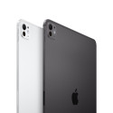 11-inch iPad Pro M5 Wi-Fi + Cellular 256GB with standard glass - Space Black