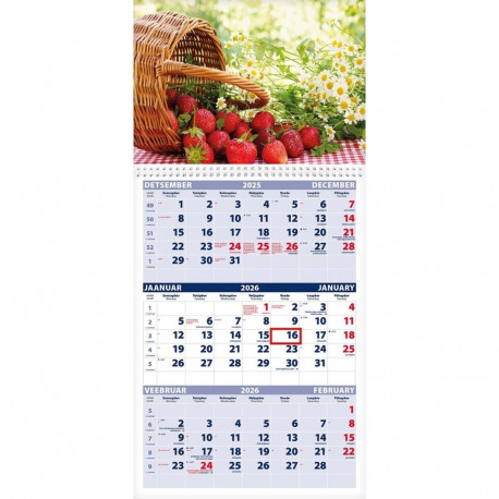 Seinakalender TRIO, PILT nr. 10, avatud mõõt 297*630mm 2026a.