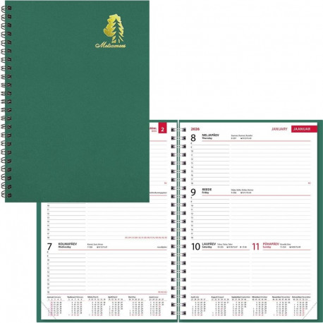 Kalendrisisu -Metsamees, spiraalköide 2026a.