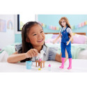 Barbie farmi loomaarst