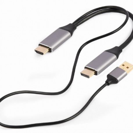 HDMI - DP adapter 4K M 60Hz USB-A toitega