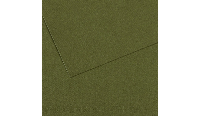 Pastellpaber MiTeintes 50x65/160g 448 luuderohi