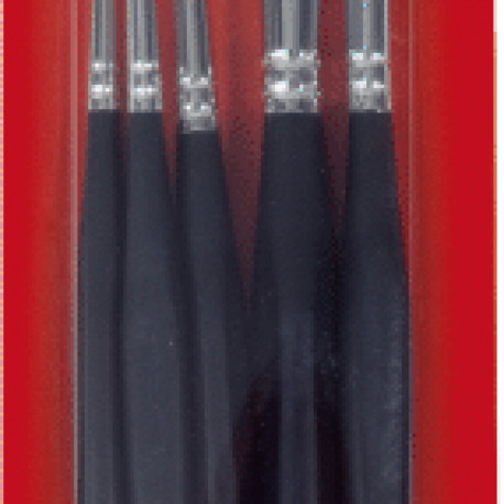 Pintslite komplekt Ergoline 5tk (ümar 2,4 ja 6, lapik 6 ja 10), Brunnen