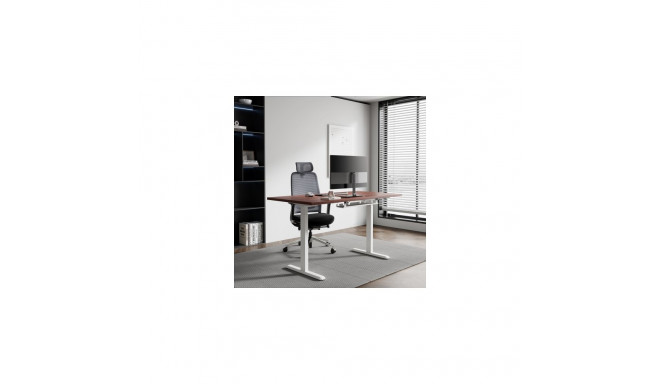 Adjustable Height Table Up Up Bjorn White, Table top L Dark Walnut