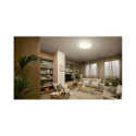 VALEN CL650 AIO RD B 32W laevalgusti