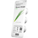 Click & Grow Smart Refill Green onion 3pcs