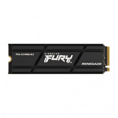 Kingston Technology 1000G RENEGADE PCIe 4.0 NVMe SSD jahutusribiga