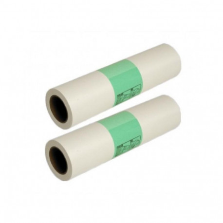 Printer Accessory - Ricoh Master HQ40L 205x107x335mm Green