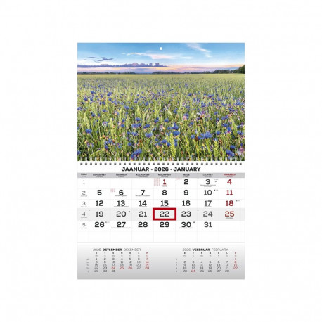 2911050001, Seinakalender Mono pilt 1