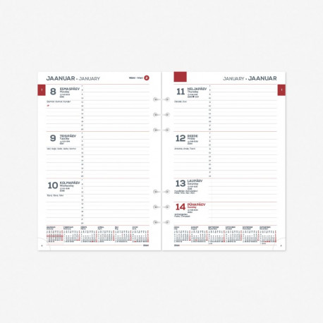 2913867000, Time-Master Maxi Nädal H sisu