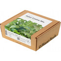 Click & Grow Plant Pod Asian Greens Mix 9tk
