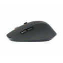 Conceptronic LORCAN02B Ergonomic Bluetooth Mouse