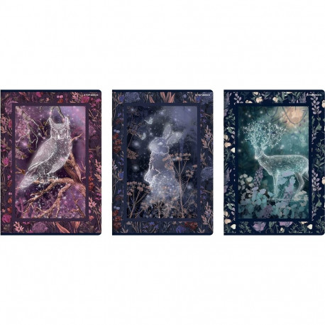 Kaustik A4 60l, 5x5 ruut, Fairytale, assortii, TOP-2000