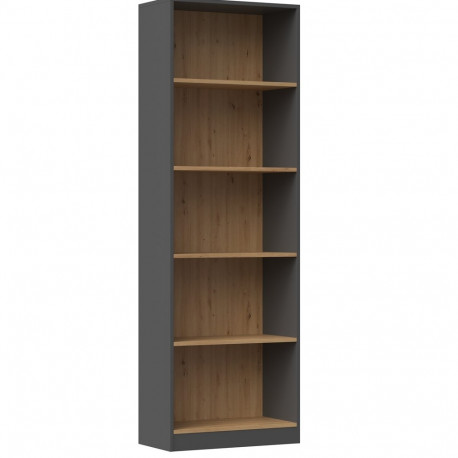 Topeshop R60 ANT/ART office bookcase