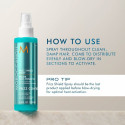 Anti-Frizz Spray Moroccanoil Frizz Shield 160 ml