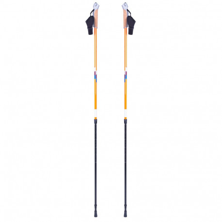 Reguleeritavad kõnnikepid Insportline Potosi