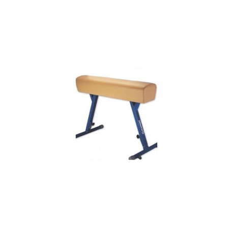 Võimlemishobune