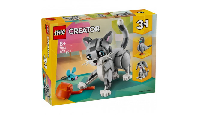 creator 31163 vallatu kass