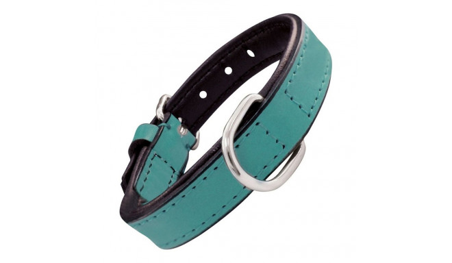Dog collar Gloria Padded Turquoise 55 cm (55 x 2,5 cm)