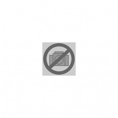 L-Boxx sisu GSB 10,8-2-Li (L-Boxx 102)