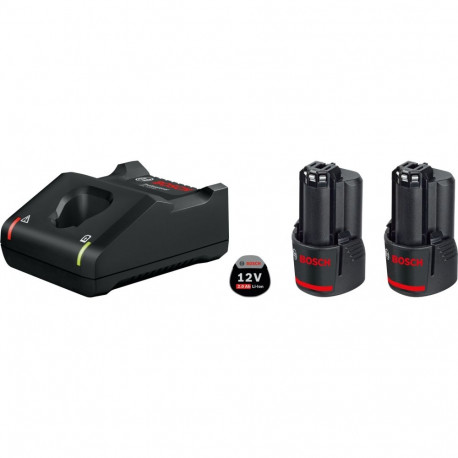 PRO starterkomplekt 12V 2x GBA 12V 2.0Ah + GAL 12V-40 Professional, must