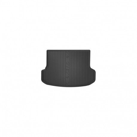 Pagasimatt Lexus RX III Hybrid 08-15