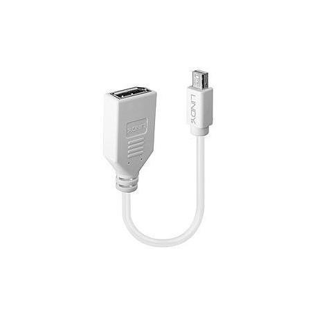 ADAPTER MINI DP TO DP/0.2M 41021 LINDY
