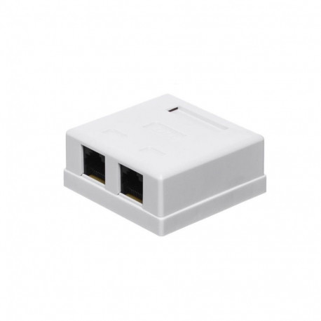 RJ45x2 Jack & Box white