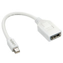 0.20m Mini DP to DP Adapter Cable