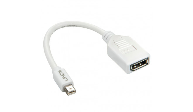 0.20m Mini DP to DP Adapter Cable