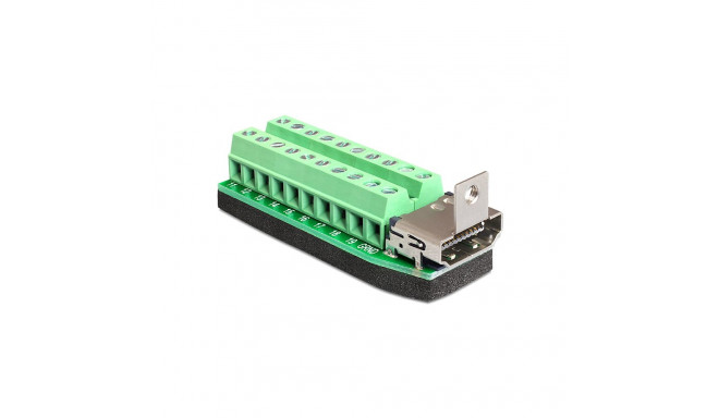 Delock Adapter HDMI female > Terminal Block 20pin