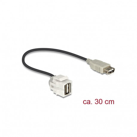 Keystone moodul: USB 2.0 A F / F, 250° nurgaga, kaabli pikkus 22cm, valge