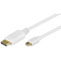 DisplayPort - Mini DisplayPort kaabel 1.0m, valge