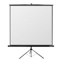 Reflecta Crystal-Line statiiv 240x240cm