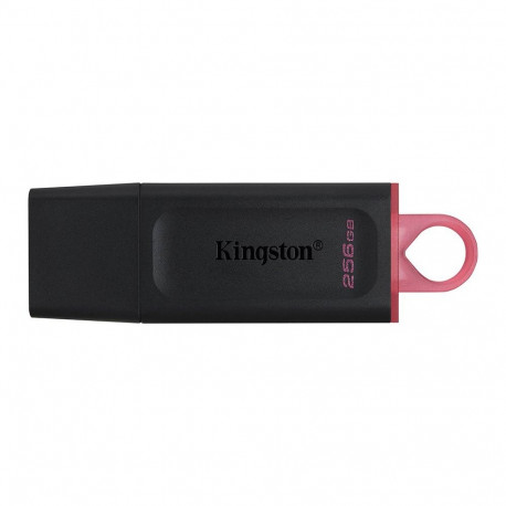 Kingston 256GB USB3.2 Gen1 DataTraveler Exodia (Black + Pink)