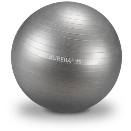 Bureba võimlemispall pumbaga 55cm, hõbehall