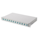 FO patch panel with equip. 19'' 1U, 12x LC dx