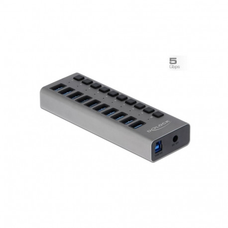 DeLOCK väline 5 Gbps USB jaotur 10 pordiga ja lülitiga