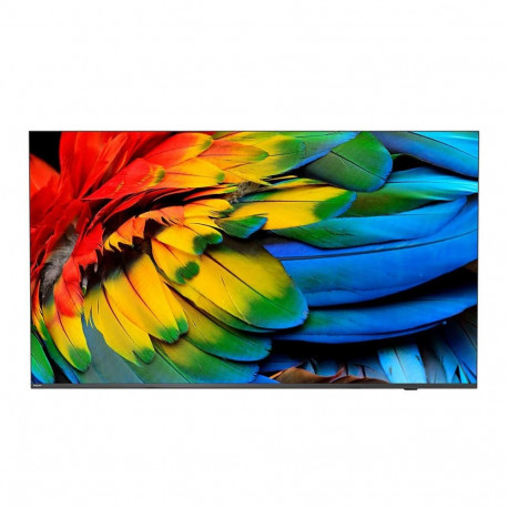 Philips 43HFL6214U 109.2 cm (43") 4K Ultra HD nutiteler Wi-Fi antratsiithall rullitav ekraan